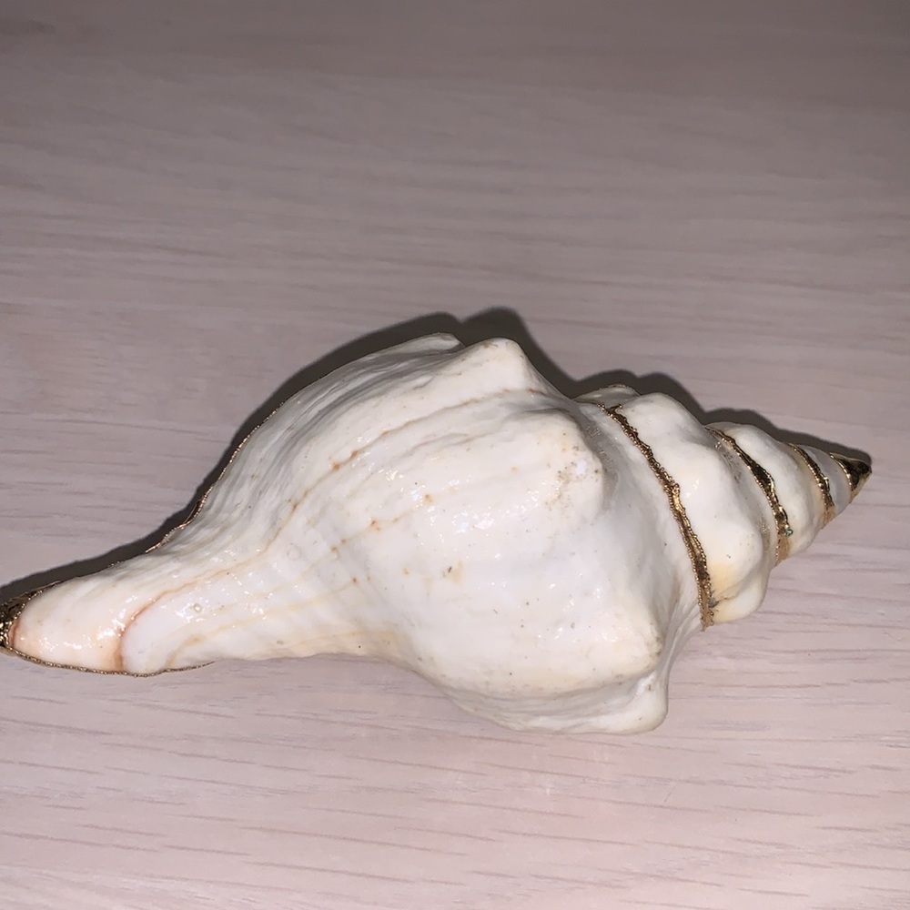 Vintage 1970s Real Shell Belt Buckle Ivory & Gold Nautical Coastal Beach Vibe - Picture 4 of 17